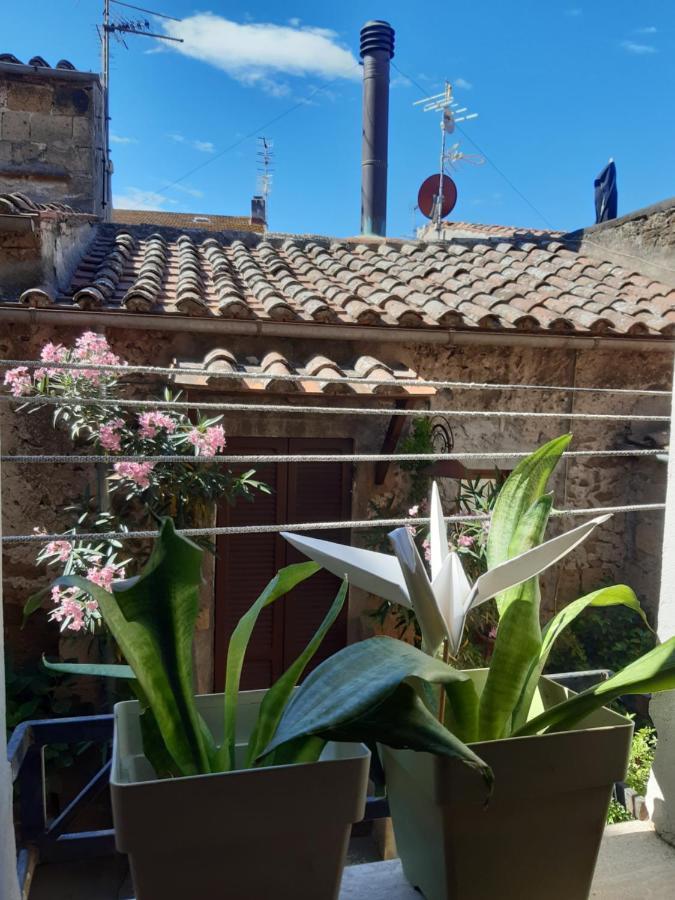 Casa Il Girasole Pitigliano Appartement Buitenkant foto